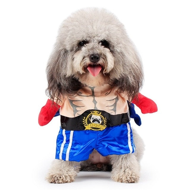 Funny Boxer Pets Costumes