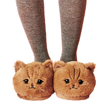 Load image into Gallery viewer, Cute Plush Cat Slippers
