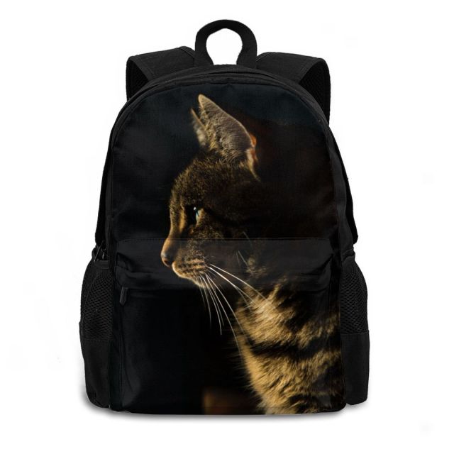 3D Cat School Backpack