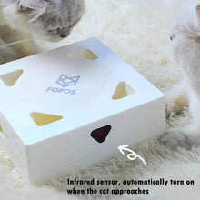 Load image into Gallery viewer, Cat Hunt Toy Magic Box

